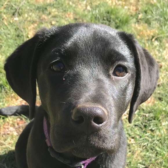 Meet your Posher, Jessica - Picture 1 of 1